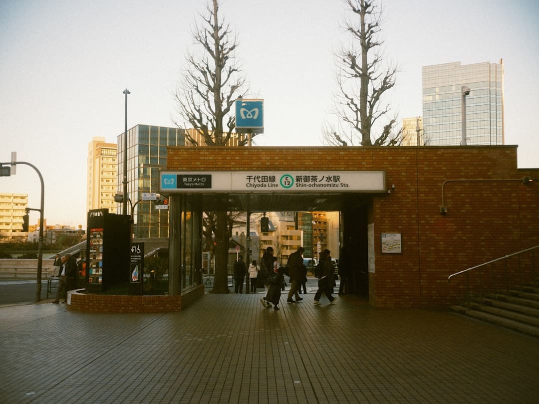暑期“旅行专列”,让远方有景更有诗意